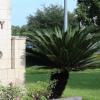 Katy Branch Library